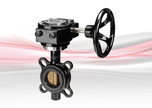Crane F622 Semi-Lugged Gearbox Operated Butterfly Valve - Image 5