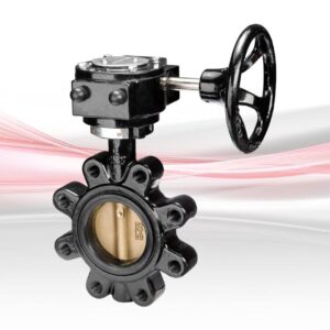 Crane F625 Fully-Lugged Gearbox Operated Butterfly Valve