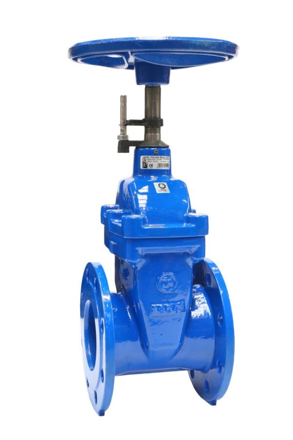 Crane Fluid Systems Gate Valves - Image 4